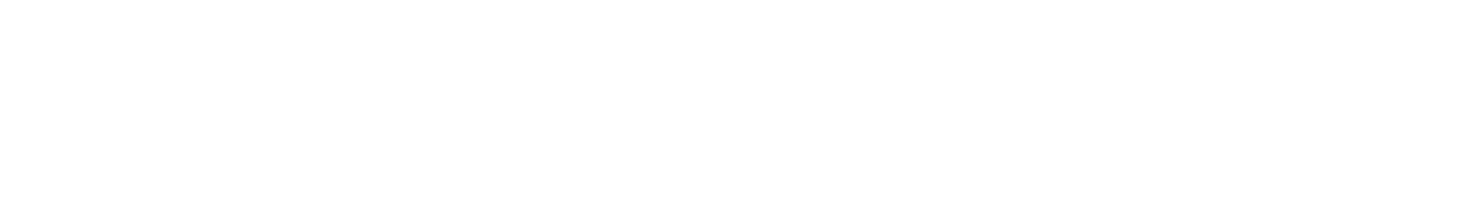 Finja Burmester Fotografie